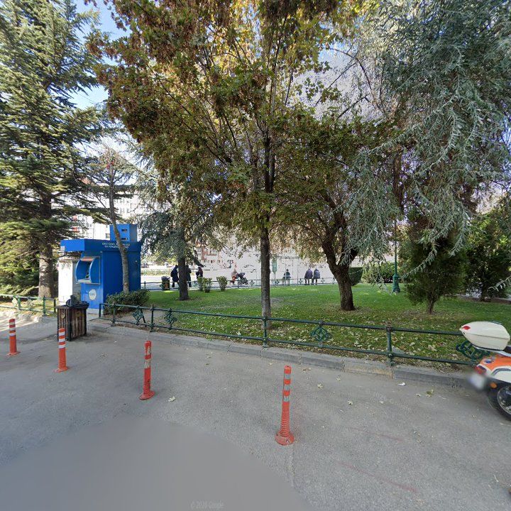 Fotoğraf 11