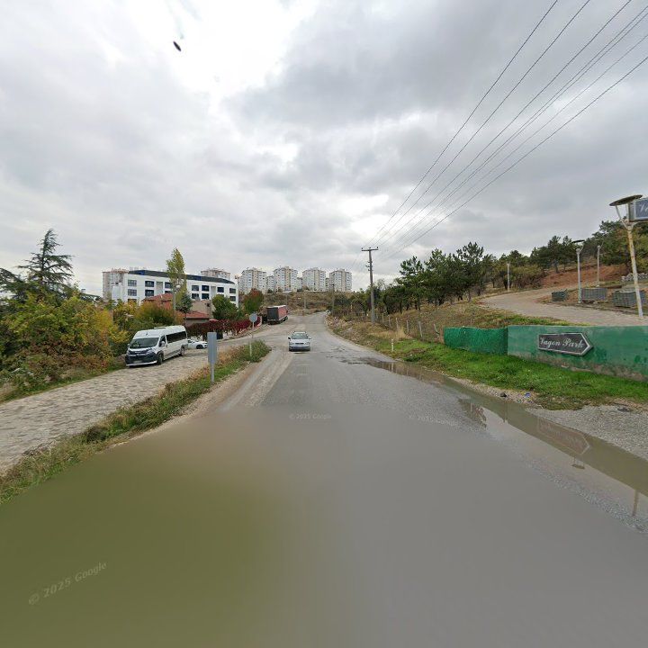 Fotoğraf 10