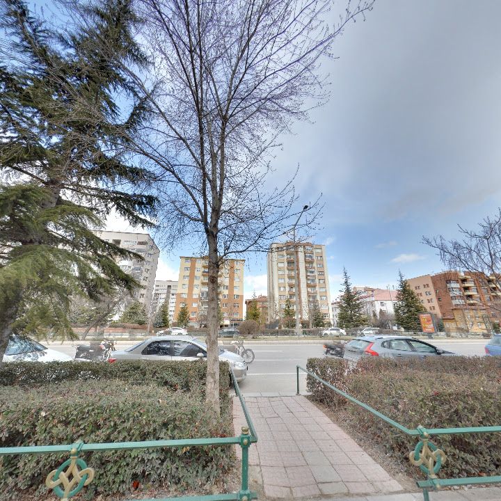 Fotoğraf 11