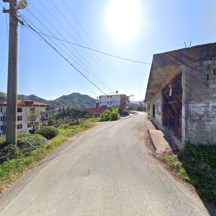 Gözde Taş Firini