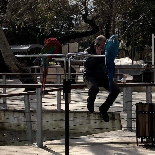 Fotoğraf 19