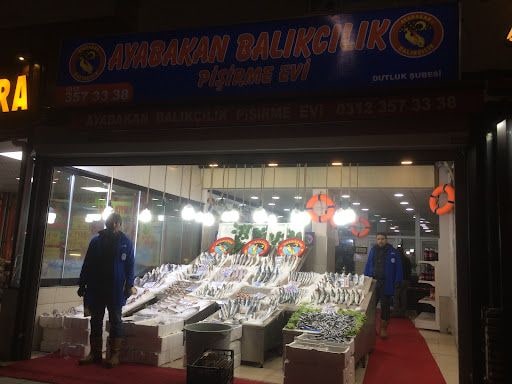 Yorum fotoğrafı 9