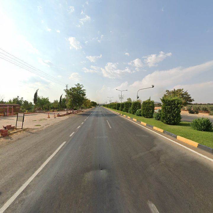 Fotoğraf 8