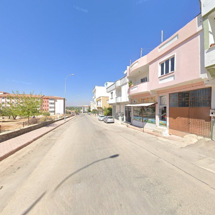 Fotoğraf 9