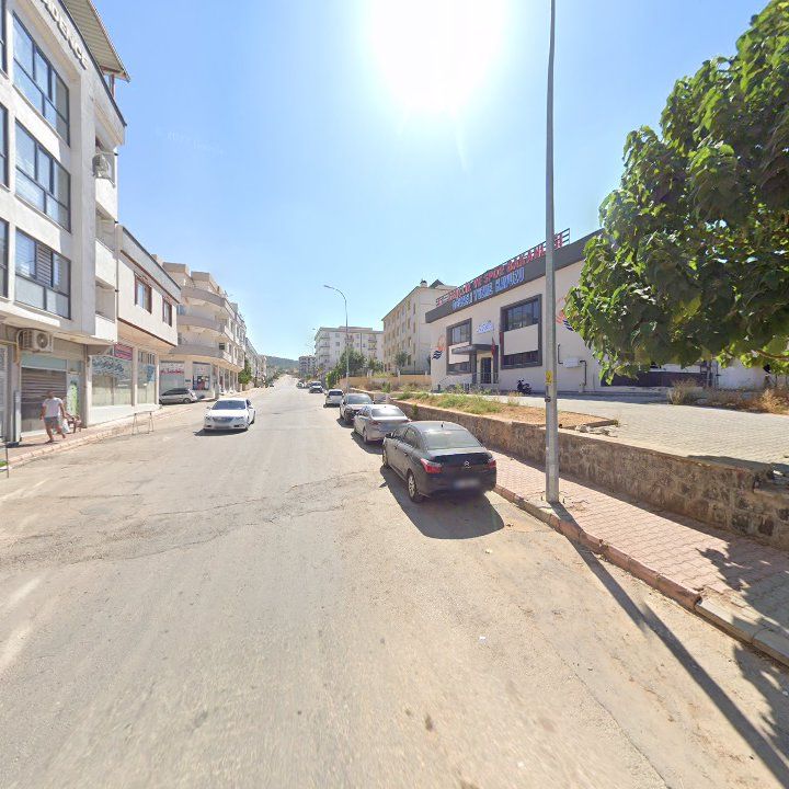 Fotoğraf 7