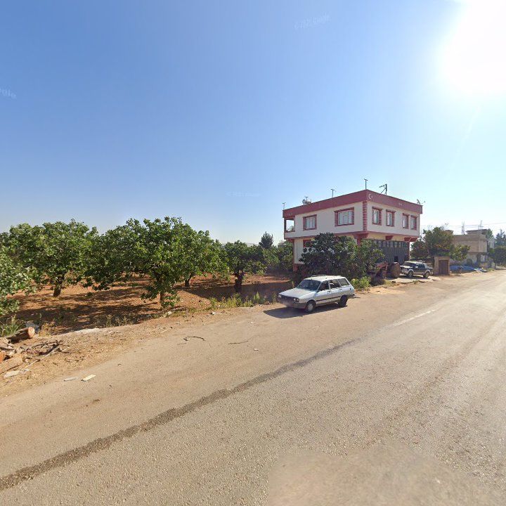 Fotoğraf 5