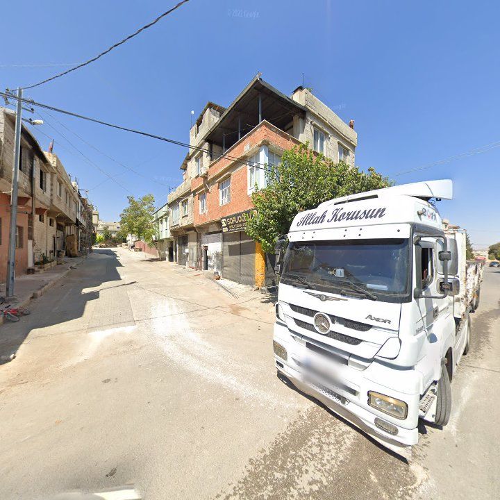 Fotoğraf 7