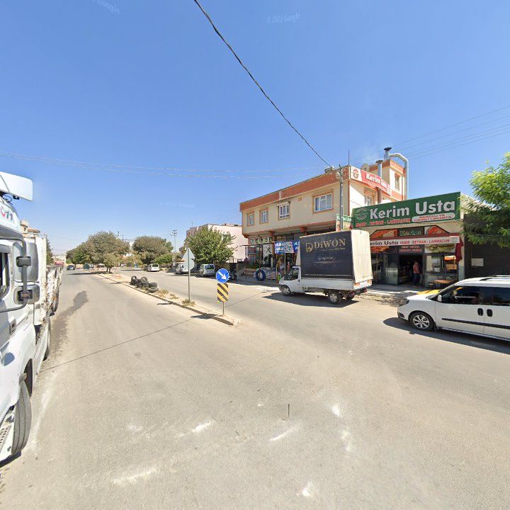 Fotoğraf 8