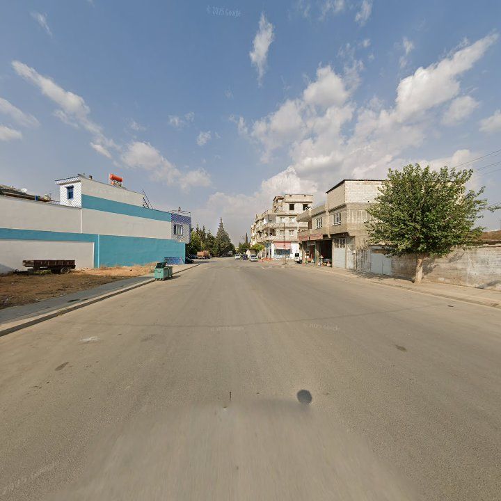Fotoğraf 9