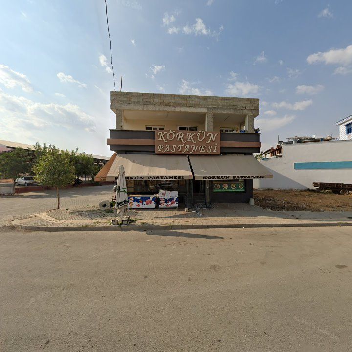 Fotoğraf 8