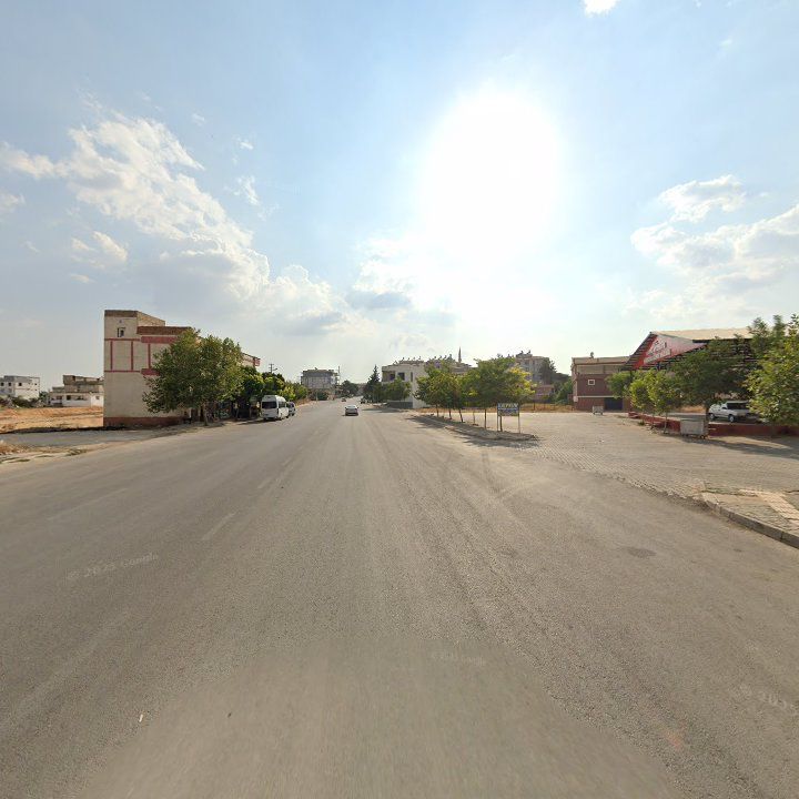 Fotoğraf 11
