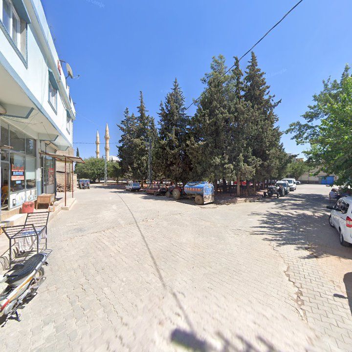 Fotoğraf 5