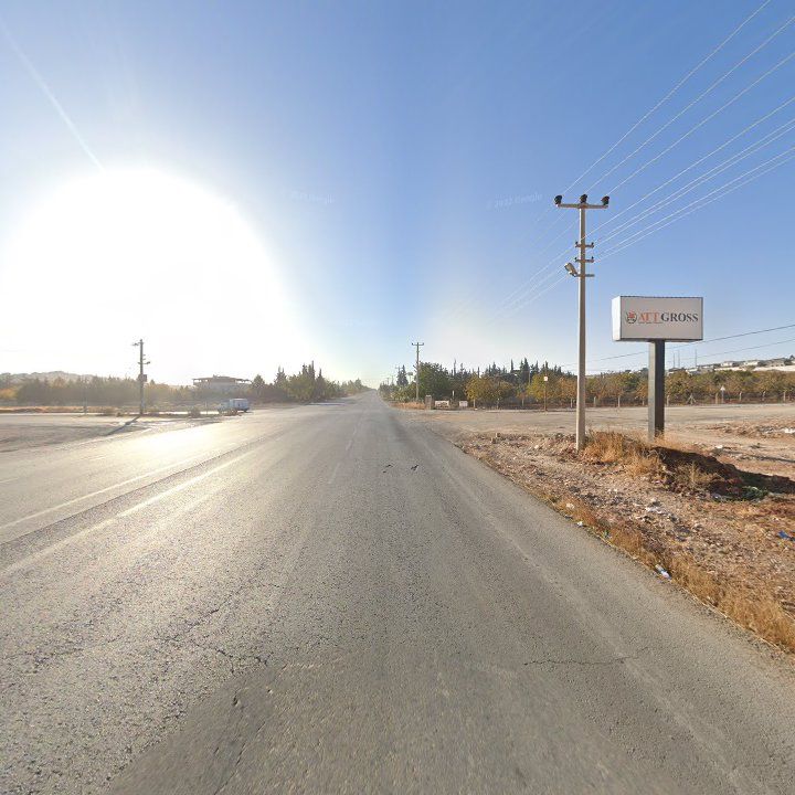 Fotoğraf 11