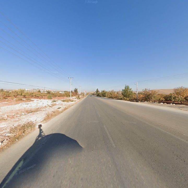 Fotoğraf 9