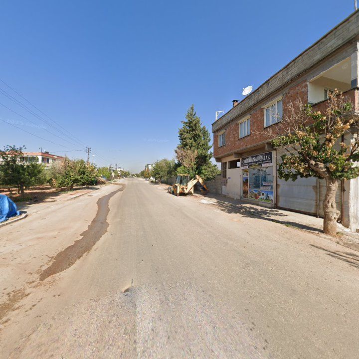 Fotoğraf 5