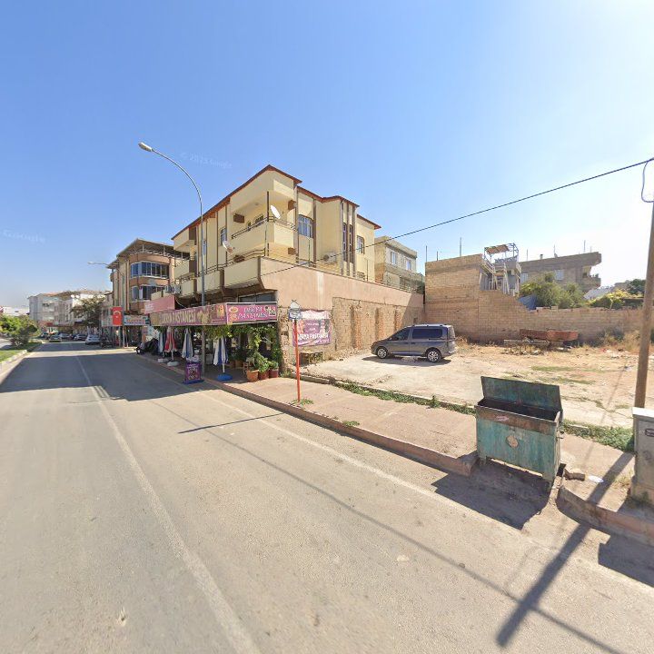 Fotoğraf 3