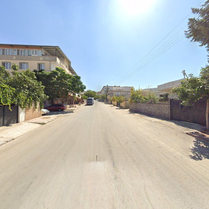 Fotoğraf 8