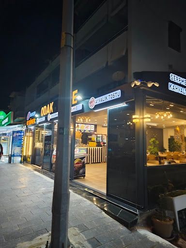 Fotoğraf 7