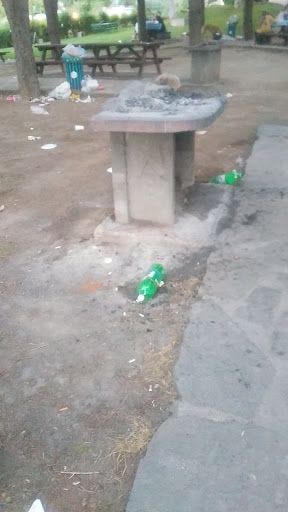 Fotoğraf 13