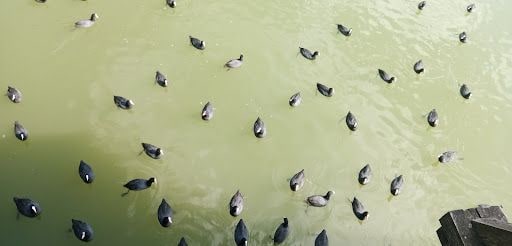 Yorum fotoğrafı 9