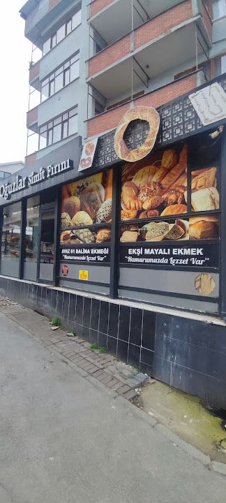 Fotoğraf 13