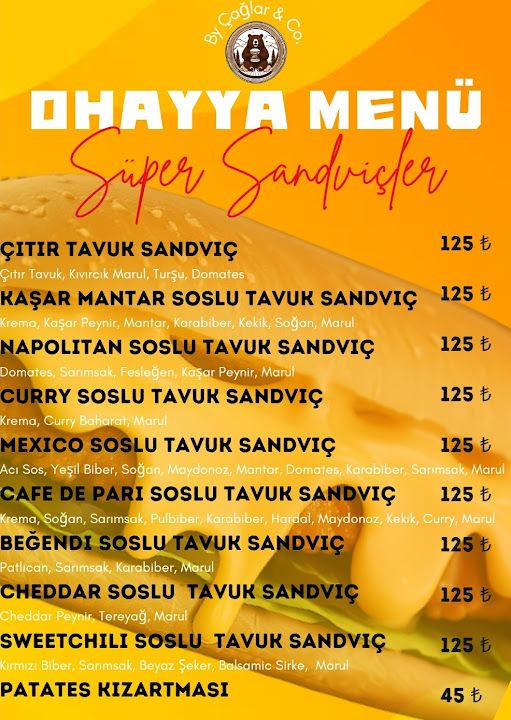 Fotoğraf 14