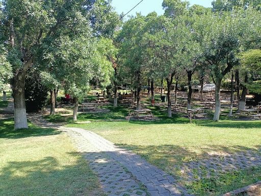 Yorum fotoğrafı 8