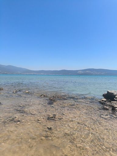 Fotoğraf 13