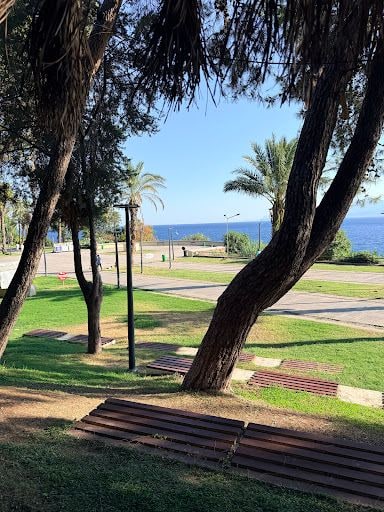 Fotoğraf 27
