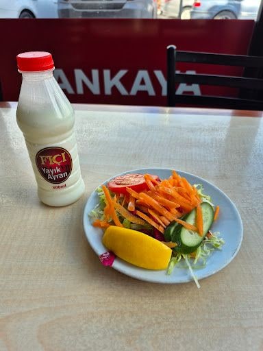 Yorum fotoğrafı 3