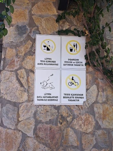 Yorum fotoğrafı 8
