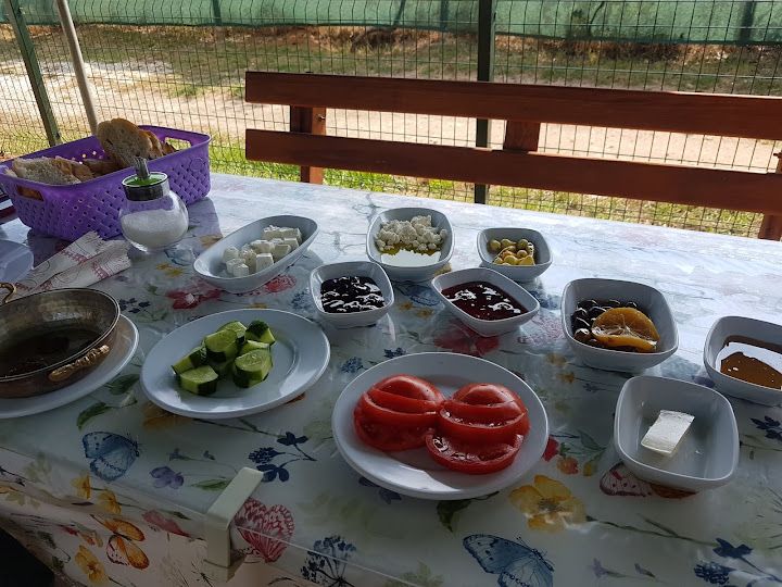 Fotoğraf 17