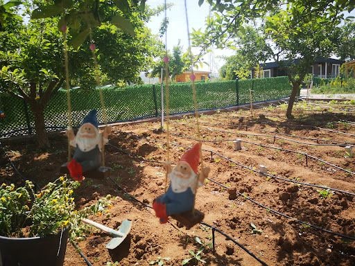 Yorum fotoğrafı 4