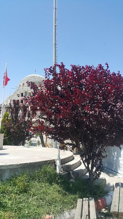 Yorum fotoğrafı 4
