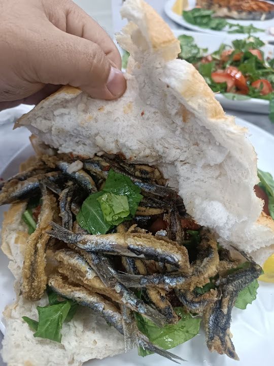Fotoğraf 31
