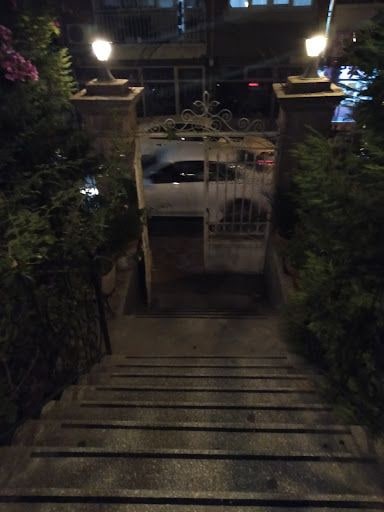 Fotoğraf 19