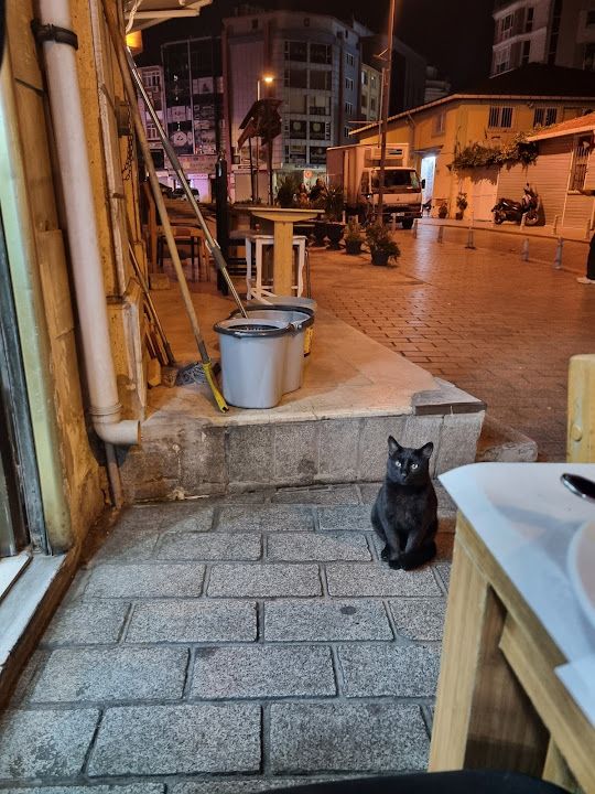 Yorum fotoğrafı 2