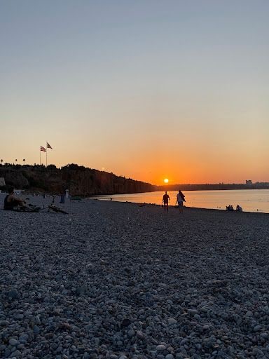 Fotoğraf 12