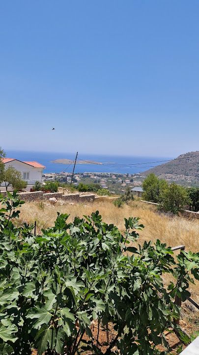 Fotoğraf 41