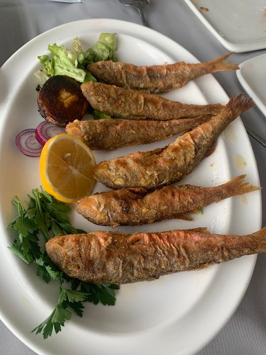 Fotoğraf 44