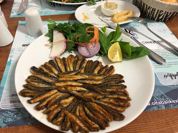 Fotoğraf 13