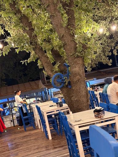 Fotoğraf 14