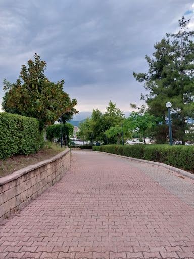 Fotoğraf 15