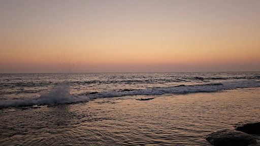 Yorum fotoğrafı 8