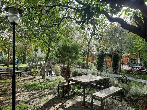 Fotoğraf 32