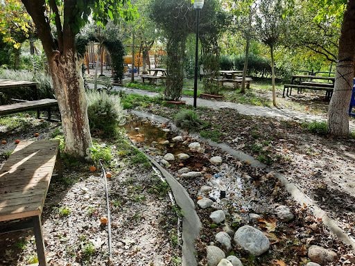 Fotoğraf 37