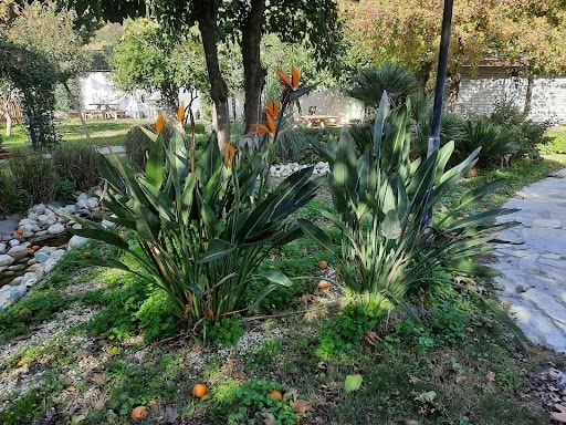 Fotoğraf 38