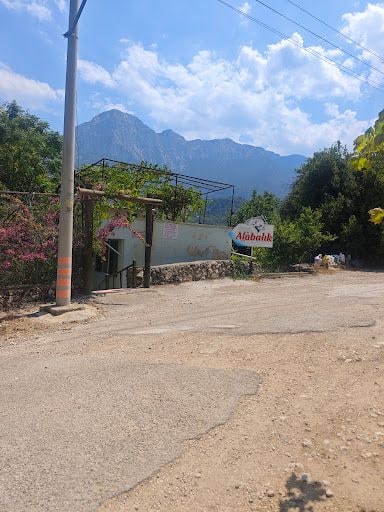 Yorum fotoğrafı 10
