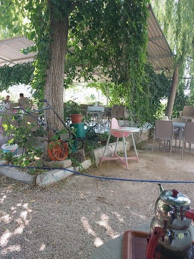 Fotoğraf 13