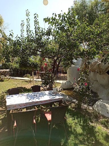 Yorum fotoğrafı 3